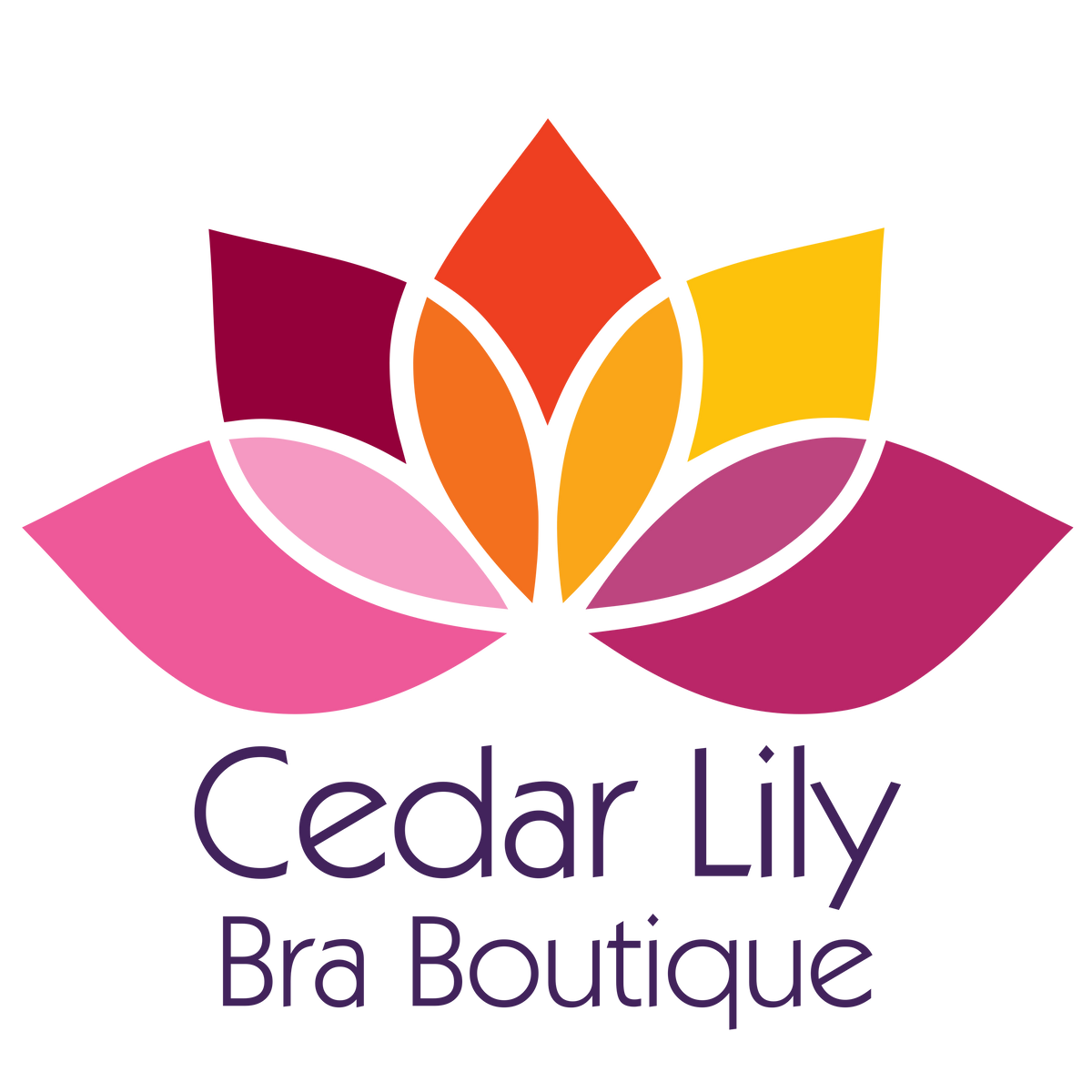 Anita Essentials Lace Bralette – Cedar Lily Bra Boutique